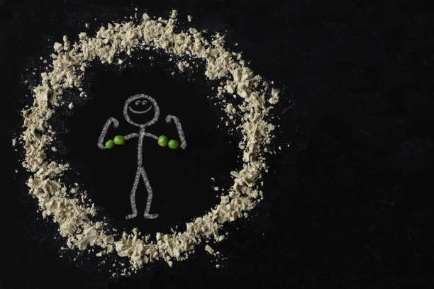 Raw Organic Pea Protein Powder Raw Organic Pea Protein Powder