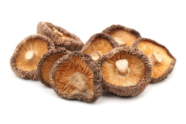Organic Shiitake Mushroom Extract Organic Shiitake Mushroom Extract