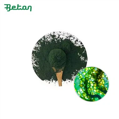 هل تدعم المنتجات البحرية العضوية تنمية المجتمعات الساحلية؟